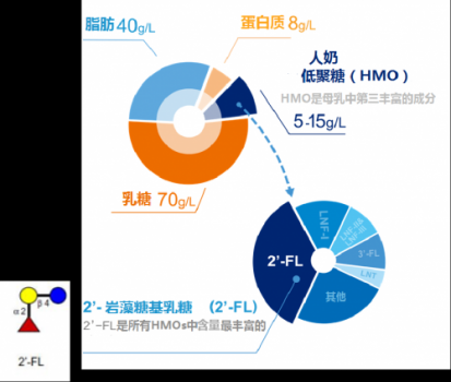 HMO䷽̷У̷۽¼Ԫ