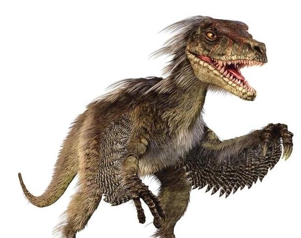 对于恐龙的真实面目,又在众说纷纭,到底是长满鳞片,还是羽毛