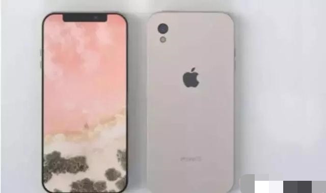 iPhone SEع⣺iPhone11