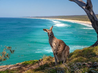  ʿݱ˹²³˵North Stradbroke Island