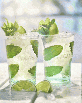 MojitoĪôðټӵðķ