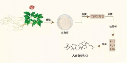 人参皂苷rg3的功效和作用人参皂苷rg3价格